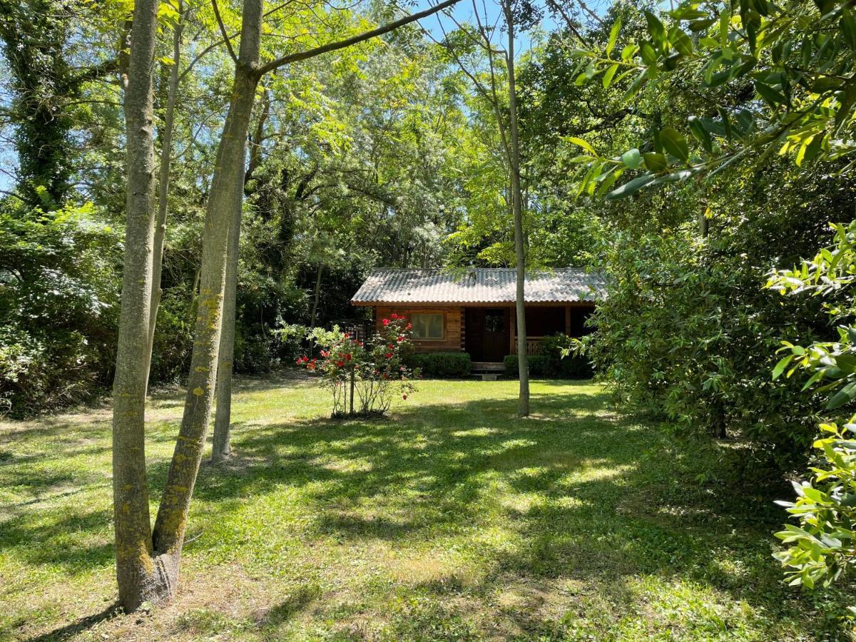 Chalet privé en Provence Saint-Rémy-de-Provence Exterior foto